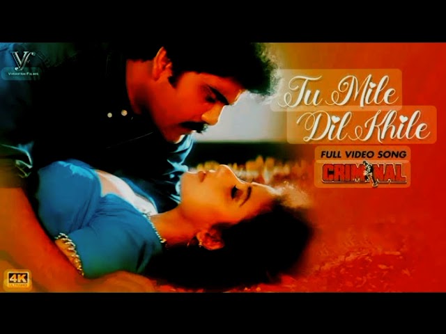 Tu Mile Dil Khile FullSong(Criminal)Kumar Sanu, Alka Yagnik(@tseries )90s Best Superhits Classical