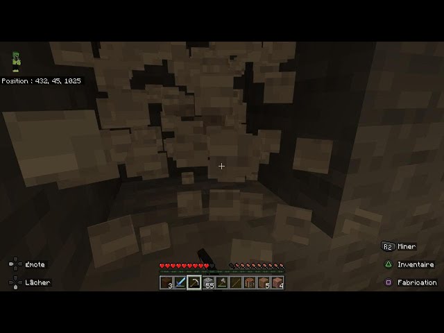 Minecraft Survie en ligne