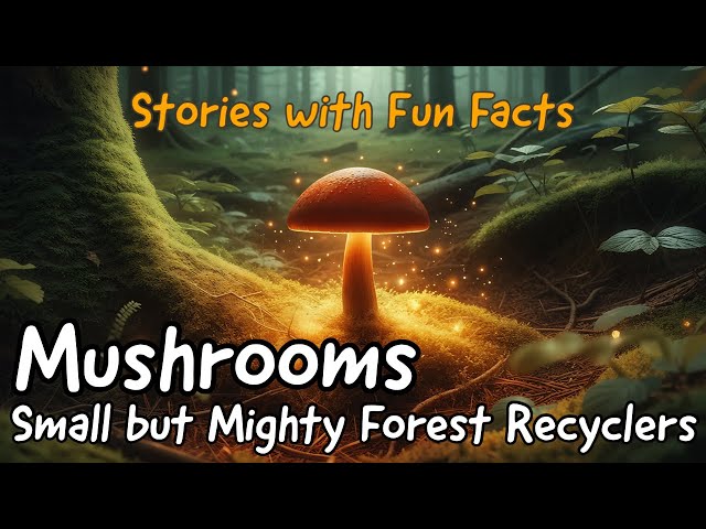 📚 Small but Mighty Forest Recyclers: Mushrooms 📚 Short Stories｜Fun Facts｜Story time｜Bedtime Story