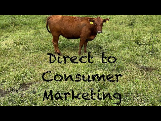 Marketing Farm / Homestead Products