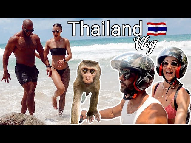 A MONKEY STOLE MY BANANAS! | THAILAND PHUKET | VLOG