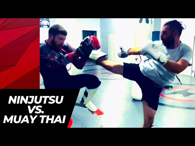 Ninjutsu vs. Muay Thai (Hard Sparring)🥷⚔️🥊