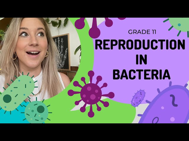 Reproduction in Bacteria | EASY TO UNDERSTAND