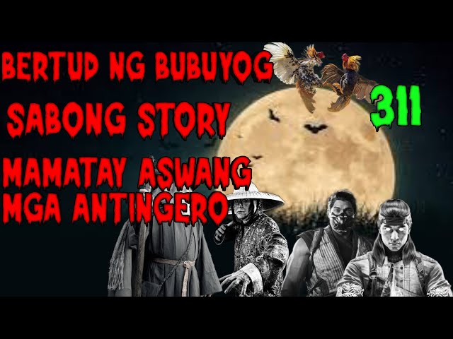 BERTUD NG BUBUYOG  AGIMAT SA SABONG TRUE STORY 311