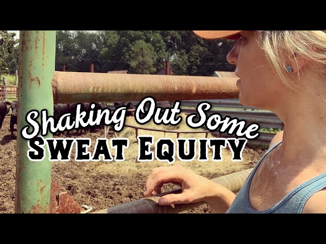 Shaking Out Some Sweat Equity : Weaning Calves and Earthquakes