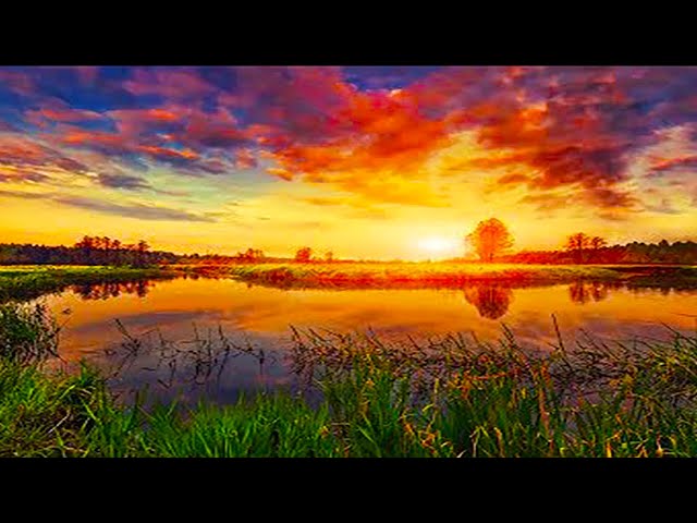 5k Virtual Nature 360° GOOD Morning Music 528Hz - Boost Your New Day Connected With Mother Nature