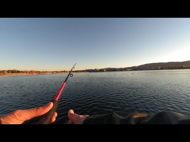 POV Fishing in VR180