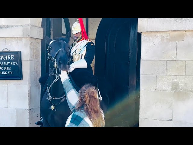 Horse Gives Woman a Good Shake