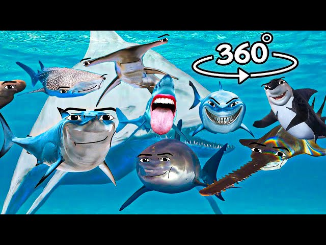 Shark Gegagedigedagedago Full Compilation | 360° VR