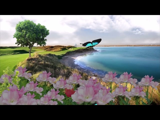 Meditation Music Beach Sea Water Waves Sounds Butterfly Tree Flower Nature Meditation Deep Relaxing