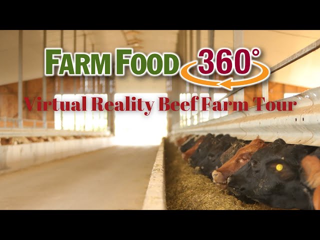 FarmFood360° Virtual Reality Beef Farm Tour