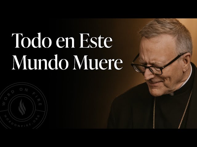 Todo en Este Mundo Muere - Sermón del Domingo del obispo Robert Barron