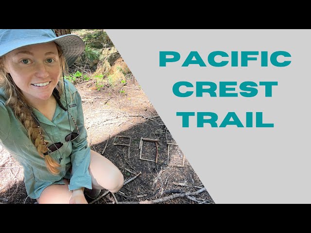 Pacific Crest Trail: This is my FAVORITE section, hands down! 😍 Ep. 20.