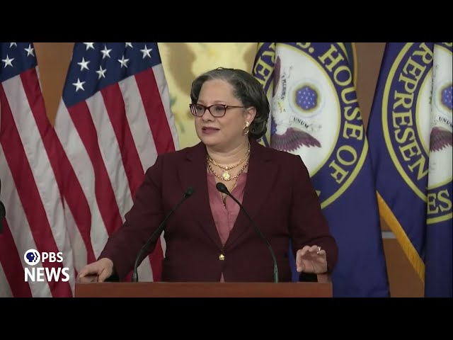 WATCH: House Democrats urge Senate Republicans to vote 'no' to confirming Patel as FBI director