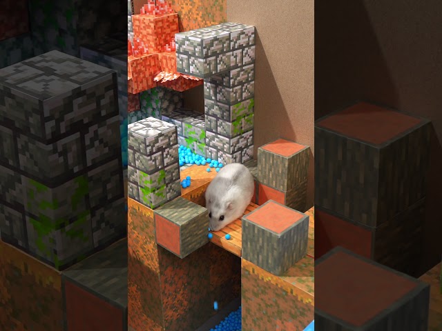 Homura Ham's Hamsters in the Minecraft Dungeons - Soggy Swamp