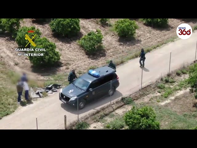 Spain: Drone footage captures police chasing narco in orange grove in Seville - News 360 Tv