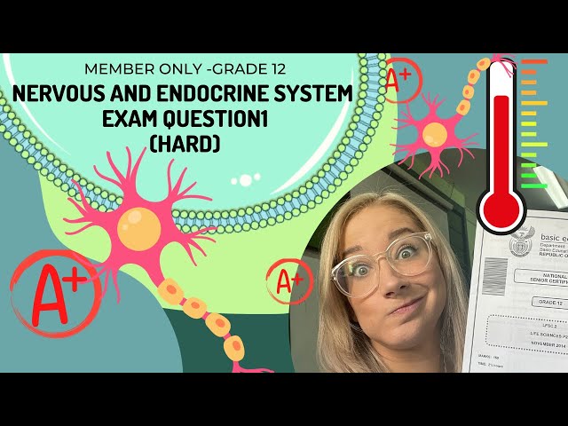 NERVOUS AND ENDOCRINE SYSTEM | EXAM Q1 (HARD) MEMBERS ONLY