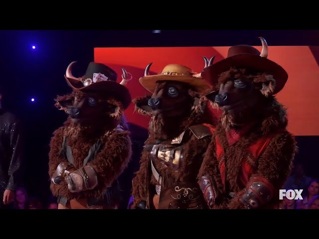 The Masked Singer 12 -  Buffalos sing You're Still the One by Shania Twain