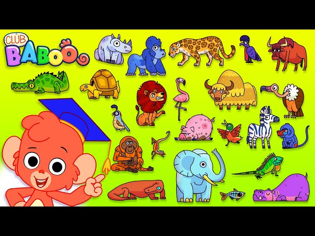 Animal ABC | Learn the alphabet for kids with Cartoon Animals | ABCD |  Club Baboo