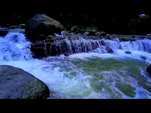 Relaxing River Sound peaceful forest improves mood, relieves stress, helps sleep soundly