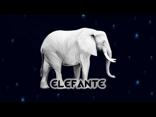 Elefante Animación Motion Graphics Animated Overlay Background Edits Animation @FerInadaptado