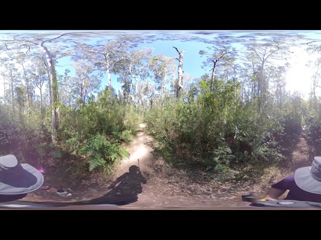 Blue Gum Swamp Walk - Slow Travel