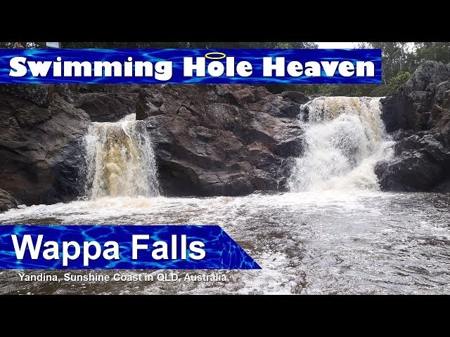 Wappa Falls cliff jumping on the Sunshine Coast