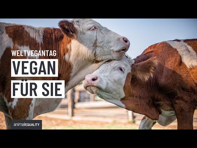 Heute ist #Weltvegantag 🌱: Was ist dein „Warum“?