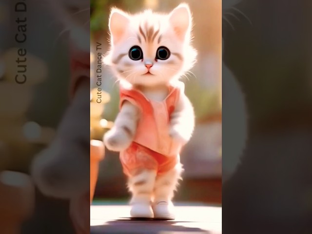 Cute Cat Dance by Cute Cat Dance TV 😊😺💃📺