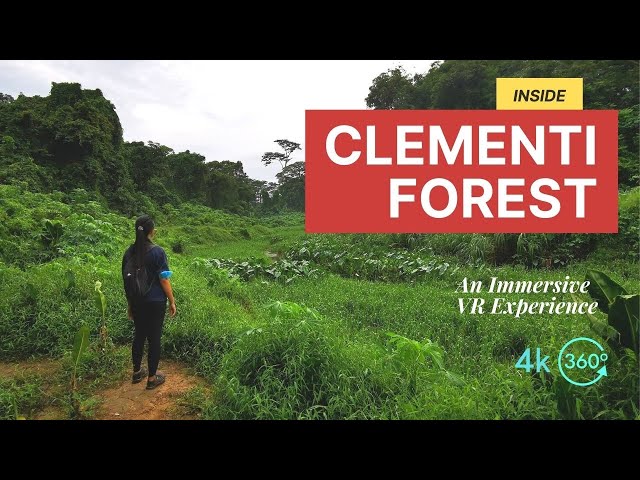 Inside Clementi Forest | The Old Jurong Line Railway |  360° Immersive Experience