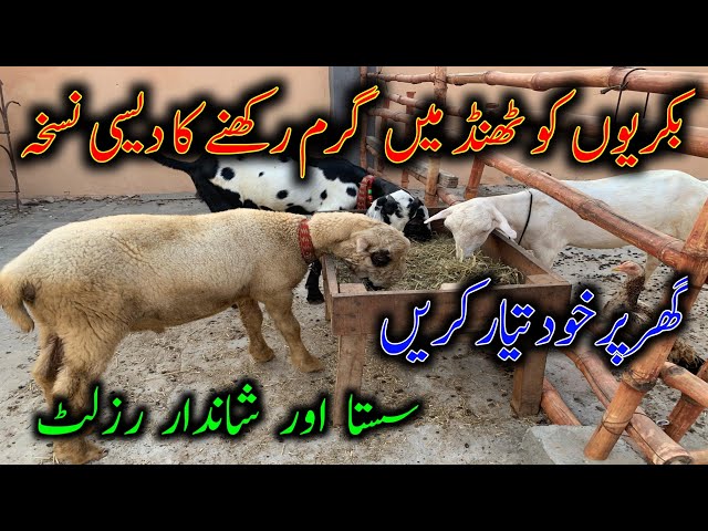 How To Keep Goats Warm In Winter||Goat Farming In Pakistan