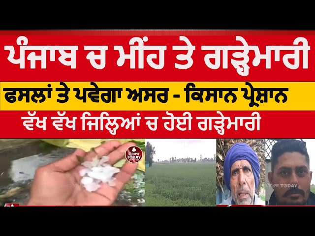 punjab Rain and hailstorm | punjab crops affected after Hailstorm| punjab hailstorm and farmers |