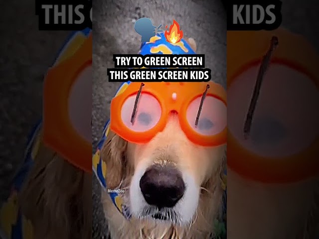 green screen kids