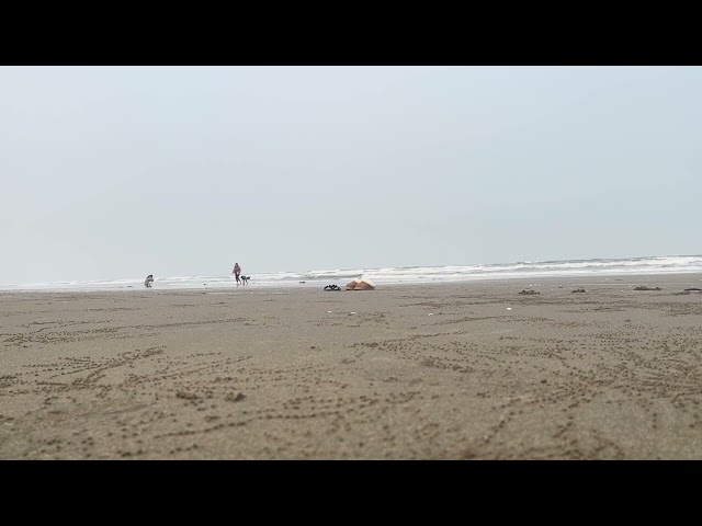 Tarde divertida na praia