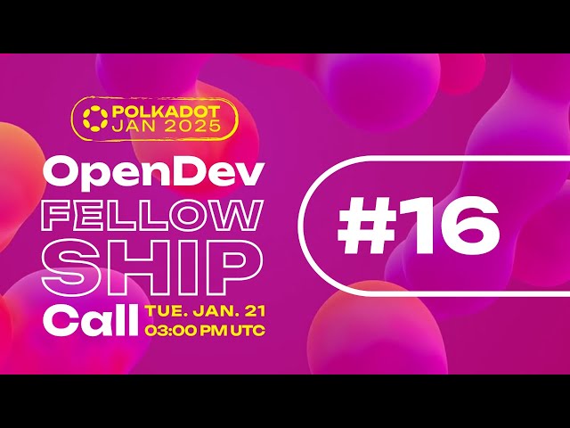 OpenDev Core Polkadot Call - Jan 2025