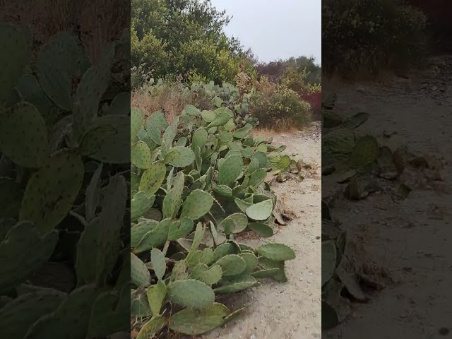 NATURALEZA...CAMINA Y TE RELAJARAS