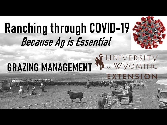 Ep.1.Grazing Management_Series: Ranching Through COVID-19: Because Ag Is Essential