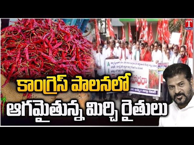 Special Report On Khammam Mirchi Farmers Problems Under Congress Govt Rule | T News