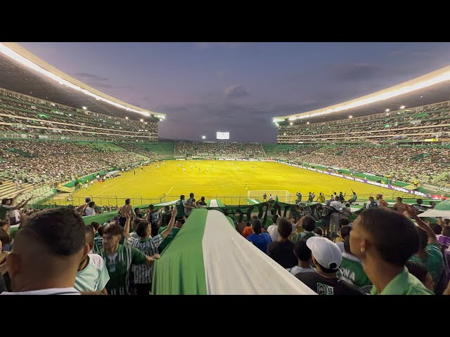 Deportivo Cali vs Emelec | Partido amistoso internacional | FRENTE RADICAL