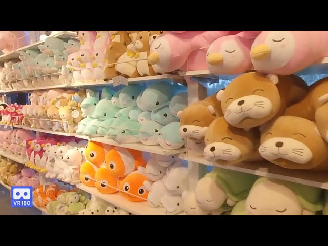 3D 180VR 4K Babe Shark Dolphin Nimo Seal Whale  all of Animal Dolls are here Aqua land toy Shop