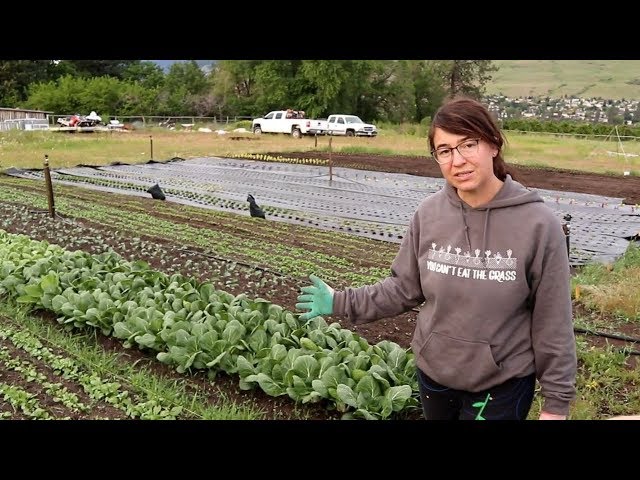 Spring Garden Tour | Complete with Farm and Gardens