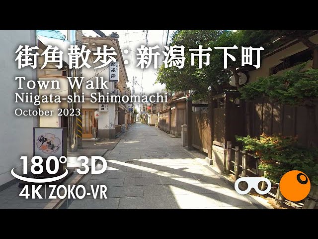 180°VR video [3D] Street corner walk | Shimo-machj | Niigata City