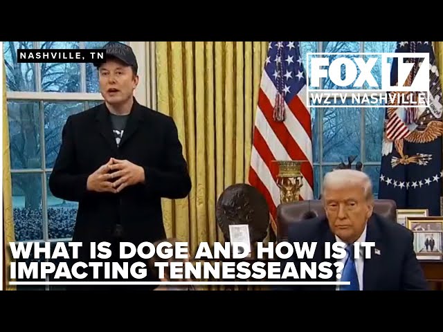 Political expert breaks down DOGE, impacts on Tennesseans and beyond