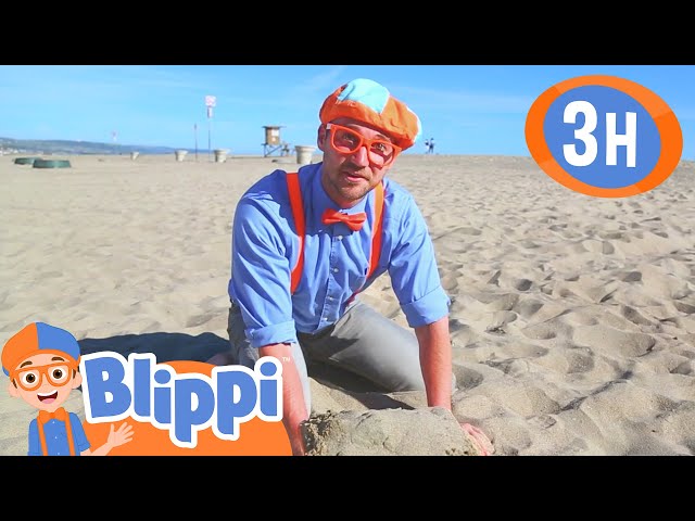 Super Sunny Beach Day | BLIPPI | Kids TV Shows | Cartoons For Kids | Fun Anime | Popular video