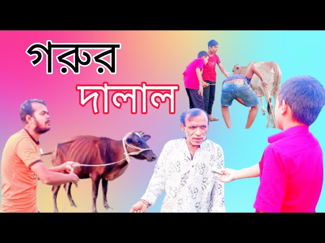 গরুর দালাল। Funny Bangla Official Drama। New Funny।