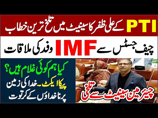 🔥 PTI Barrister Ali Zafar Fiery Speech in Senate | CJ Pakistan’s Meeting with IMF 🏛️💥