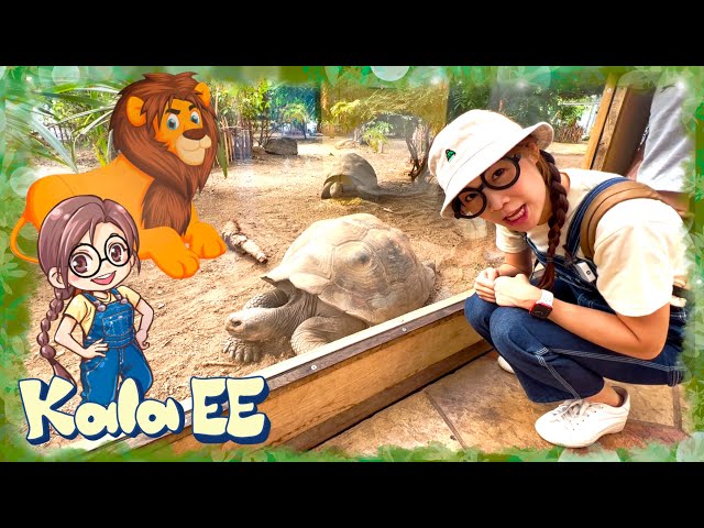 動物|動物園1|Learning animals & exploring London Zoo with Kala EE|廣東話教學|兒童中文學習|親子活動|生活學習|獅子|鳥類|爬蟲類|企鵝|龜