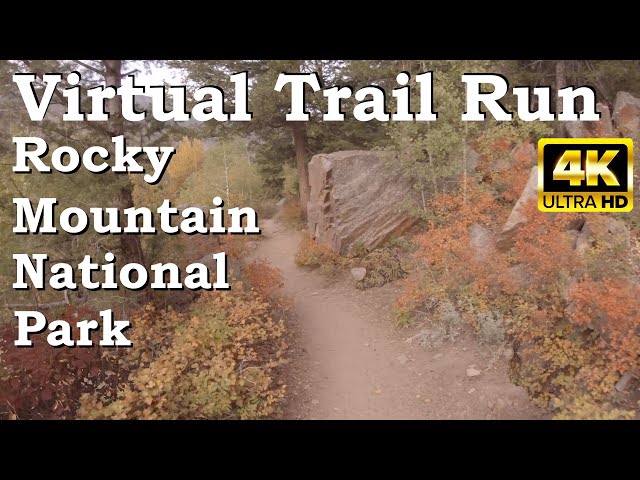 Virtual Running Video for Treadmill 4K | Autumn in Rocky Mountain National Park, Colorado