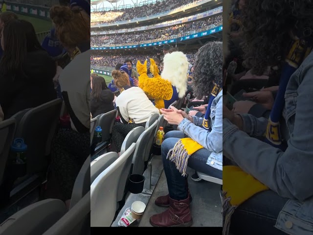 Rosie is at the other side and Rick sits near where I'm sitting | AFL Round 18 2023: WCE v RICH