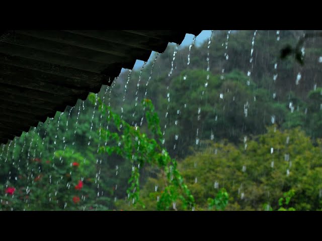 Rain Sounds For Sleeping - 99% Instantly Fall Asleep With Rain And Thunder Sound At Night